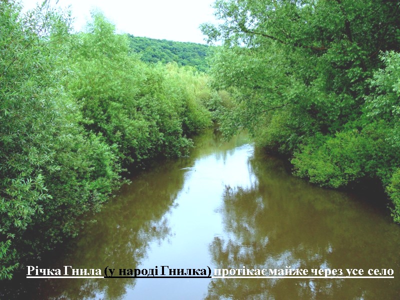 Річка Гнила (у народі Гнилка) протікає майже через усе село